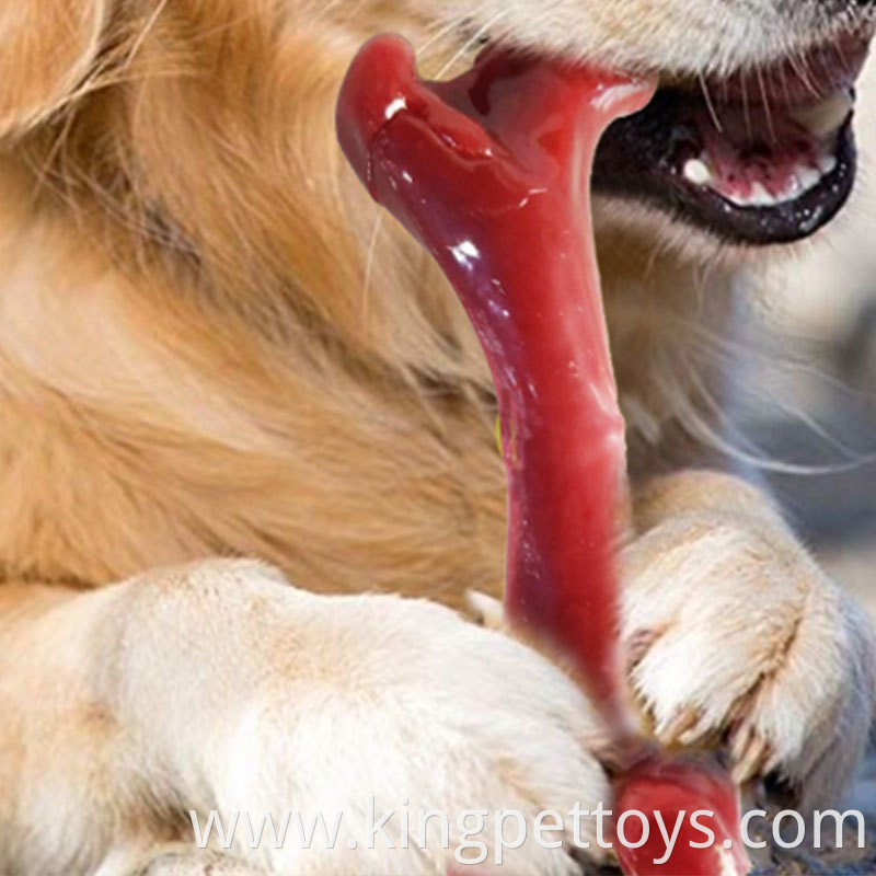 Best Toys Dog Bone Molar